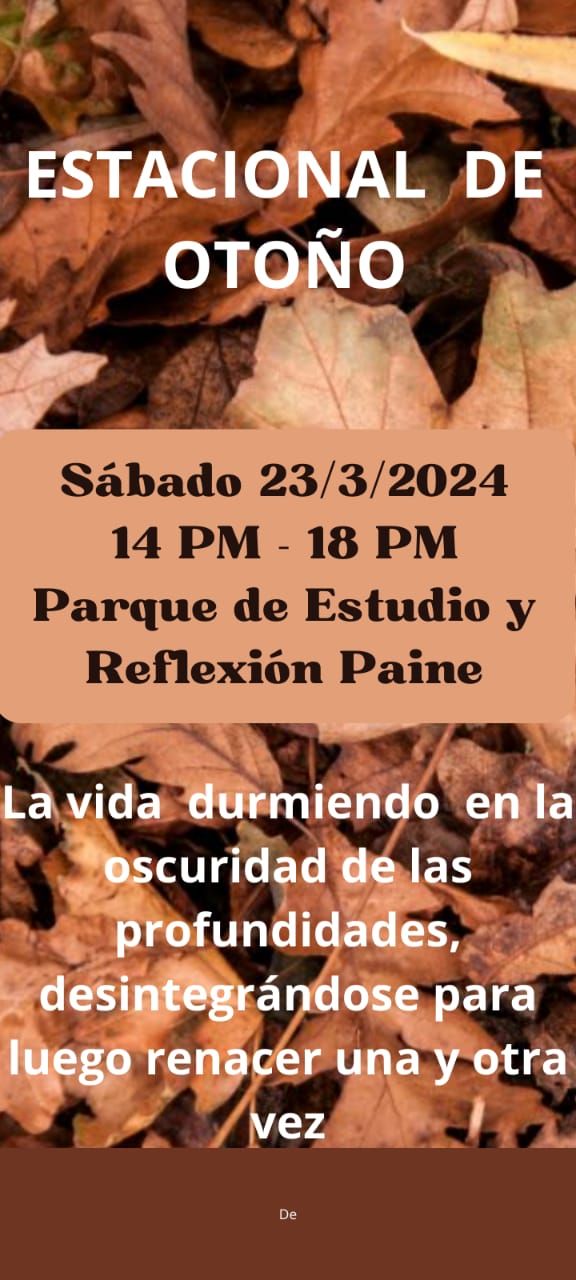 Estacional otoño 2024